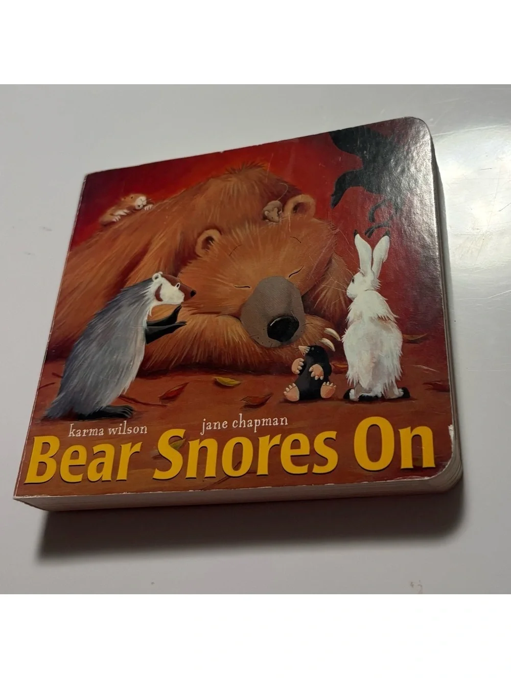Bear snores on wooden book